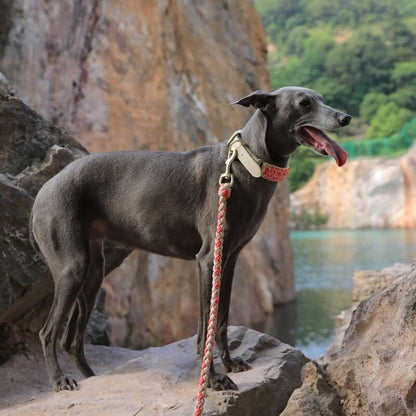 Handgewebtes Anti-Zug-Hundehalsband und -Leine aus Leder – langlebig und stilvoll für ultimative Kontrolle