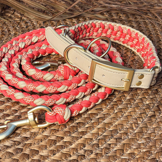 Hand-Woven Leather Anti-Pull Dog Collar and Leash Set - Durable and Stylish for Ultimate Control