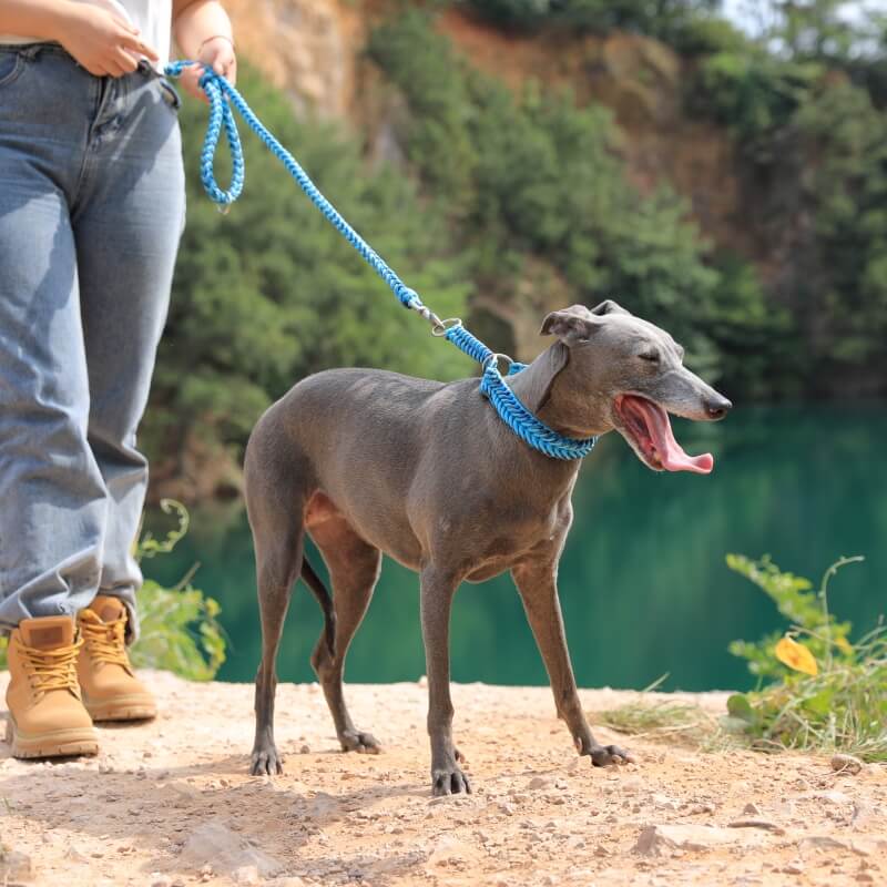 Handmade Anti-Pull Luminous Large Dog Collar and Leash Set - Safe and Stylish for Night Walks