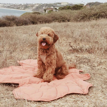 Versatile Leaf-Inspired Pet Mat