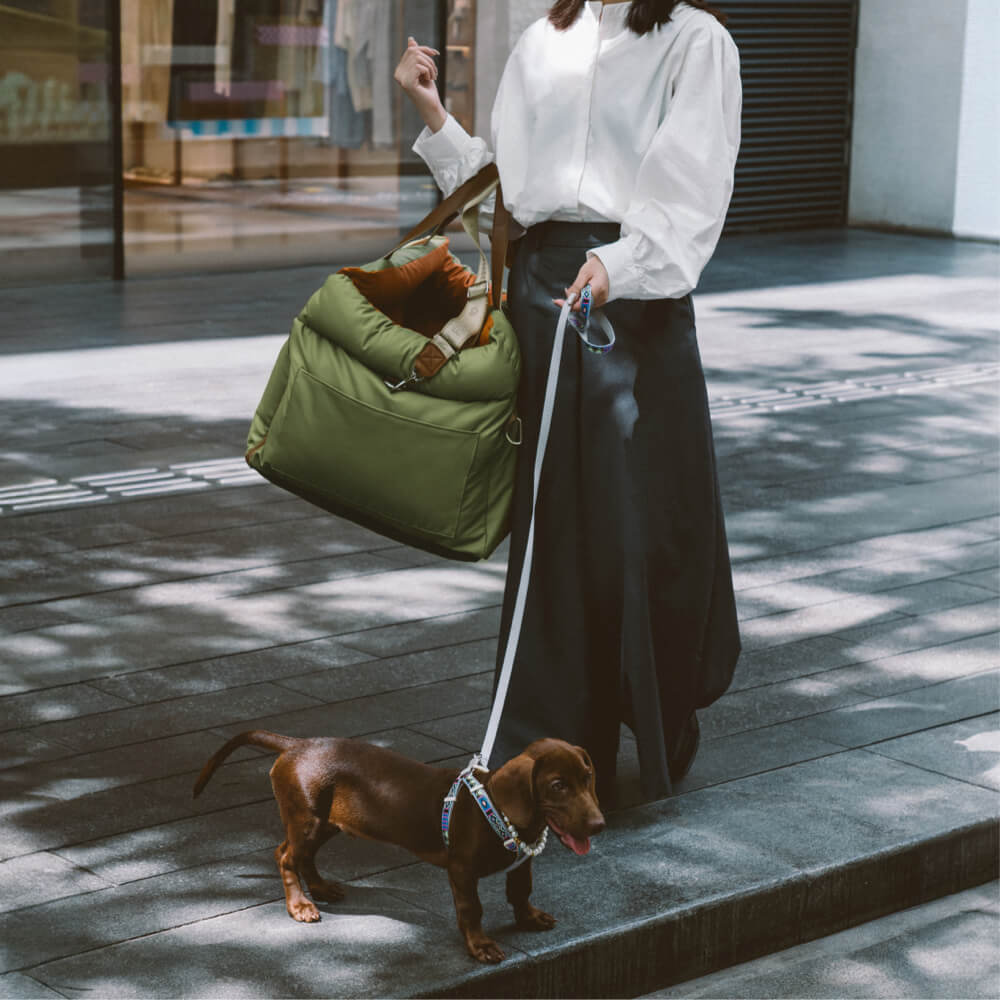 Siège auto pour chien en similicuir de luxe - Urban Voyager pour plus de confort et de sécurité