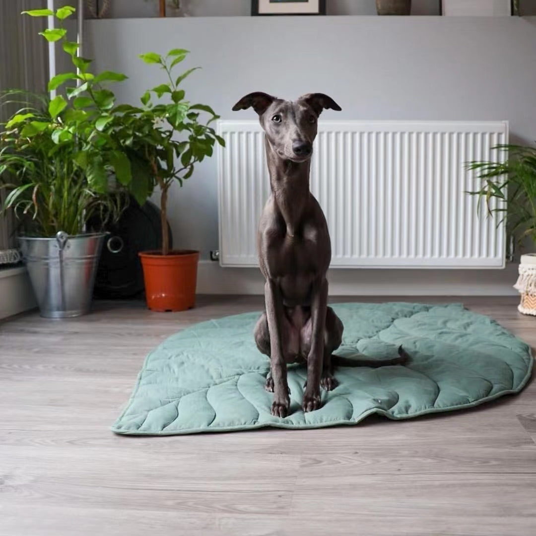 Versatile Leaf-Inspired Pet Mat