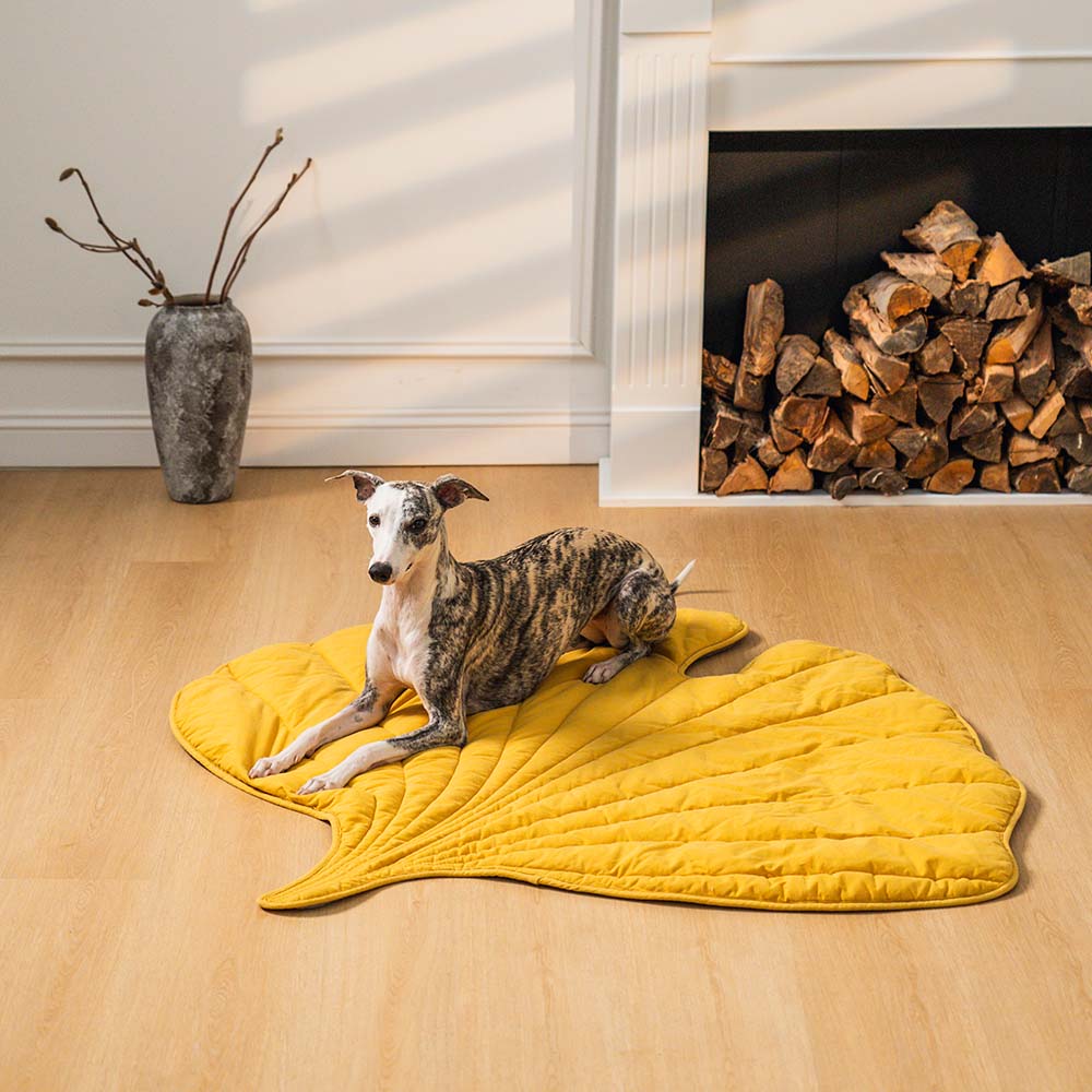 Versatile Leaf-Inspired Pet Mat