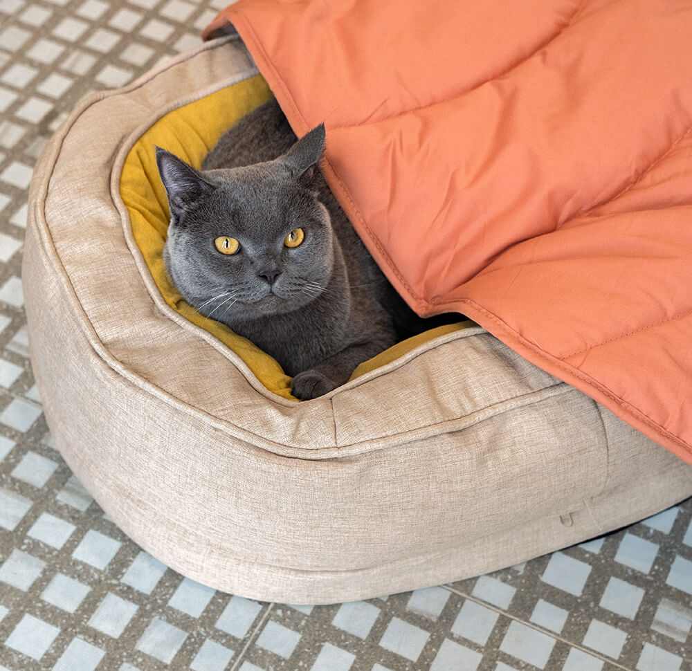 Versatile Leaf-Inspired Pet Mat