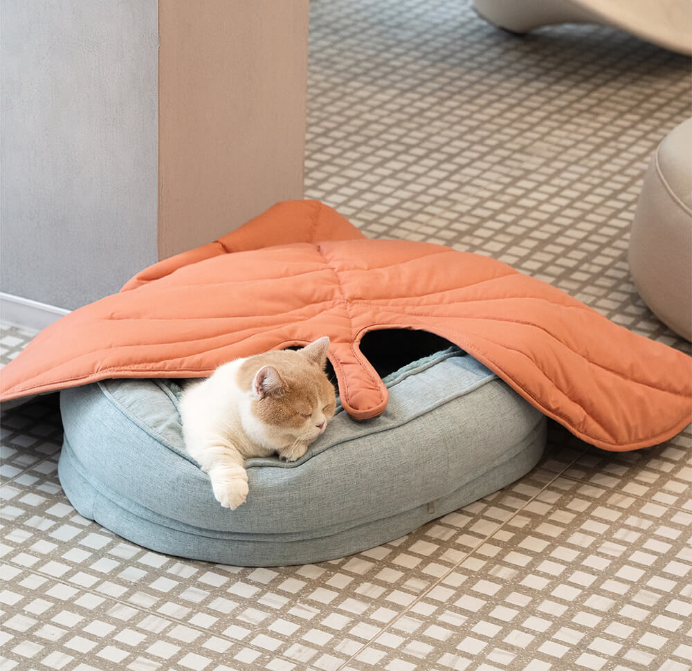 Versatile Leaf-Inspired Pet Mat