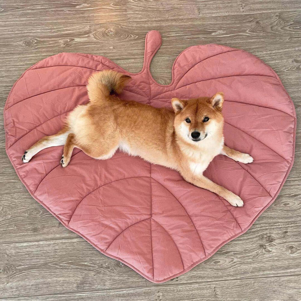 Versatile Leaf-Inspired Pet Mat