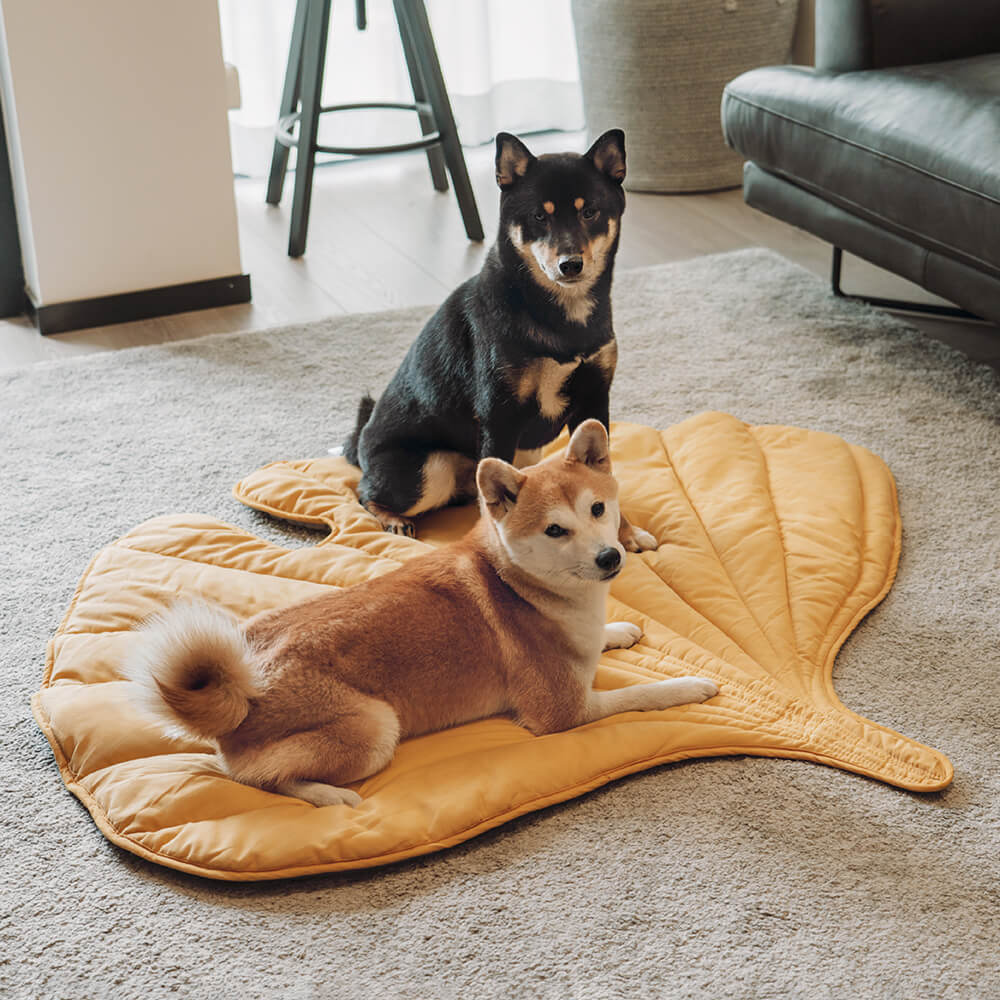 Versatile Leaf-Inspired Pet Mat