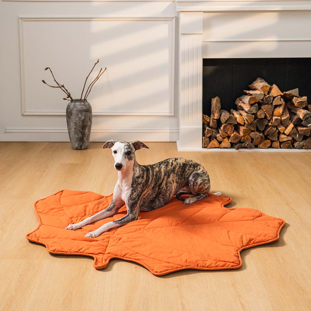 Versatile Leaf-Inspired Pet Mat