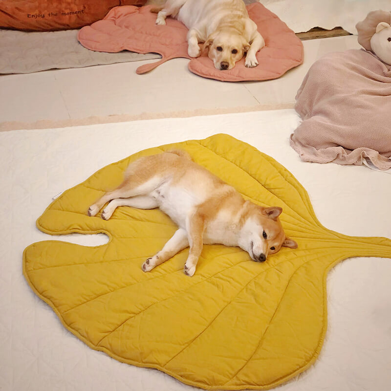 Versatile Leaf-Inspired Pet Mat