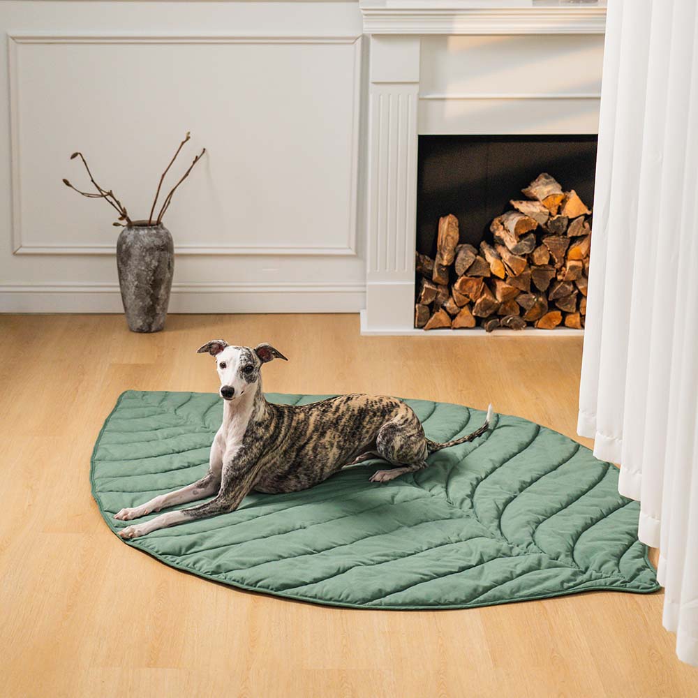 Versatile Leaf-Inspired Pet Mat