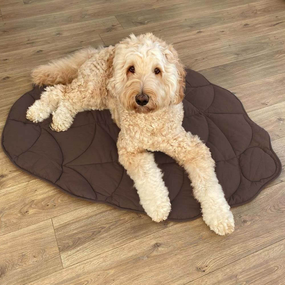 Versatile Leaf-Inspired Pet Mat