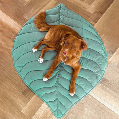 Versatile Leaf-Inspired Pet Mat